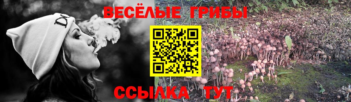 Галлюциногенные грибы MAGIC MUSHROOMS  Вход с VPN  Жуковский 