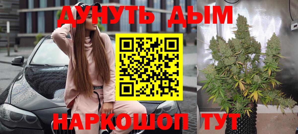 Марихуана план  Бошки марихуана план  Вход с VPN  Жуковский 